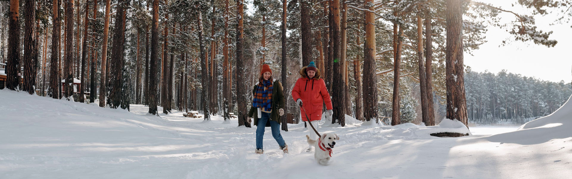 A Couple and their Dog Strolling through a snowy forest