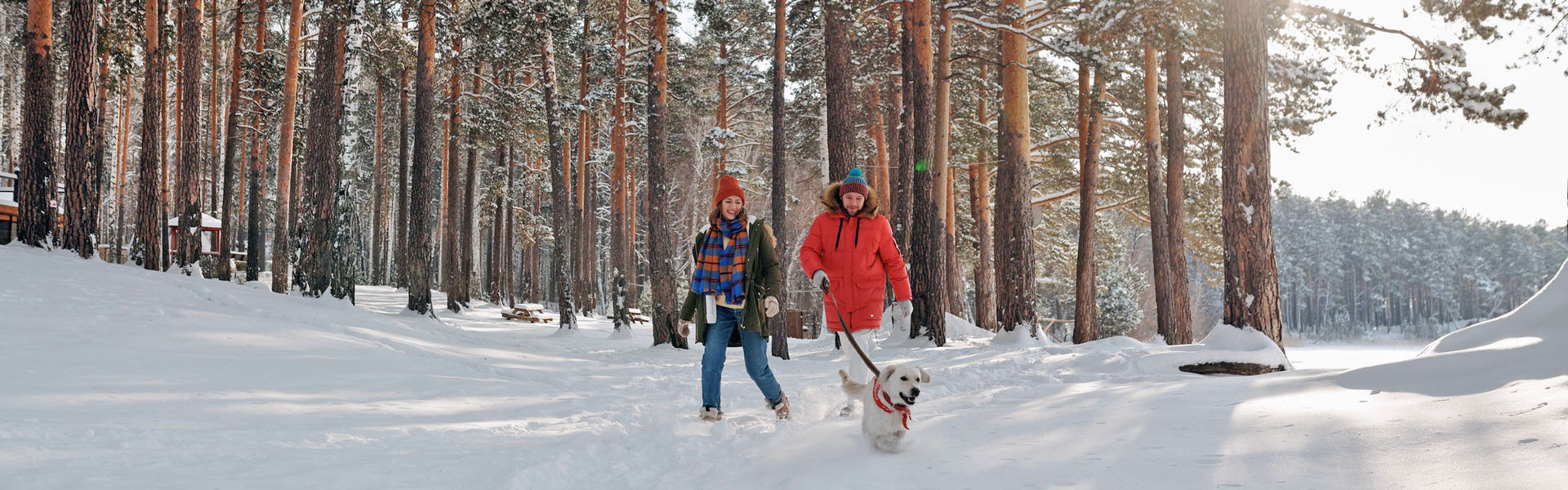 A Couple and their Dog Strolling through a snowy forest