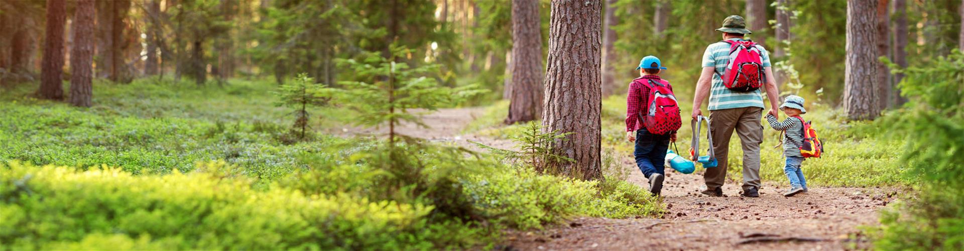 A father and kids hiking in the woods