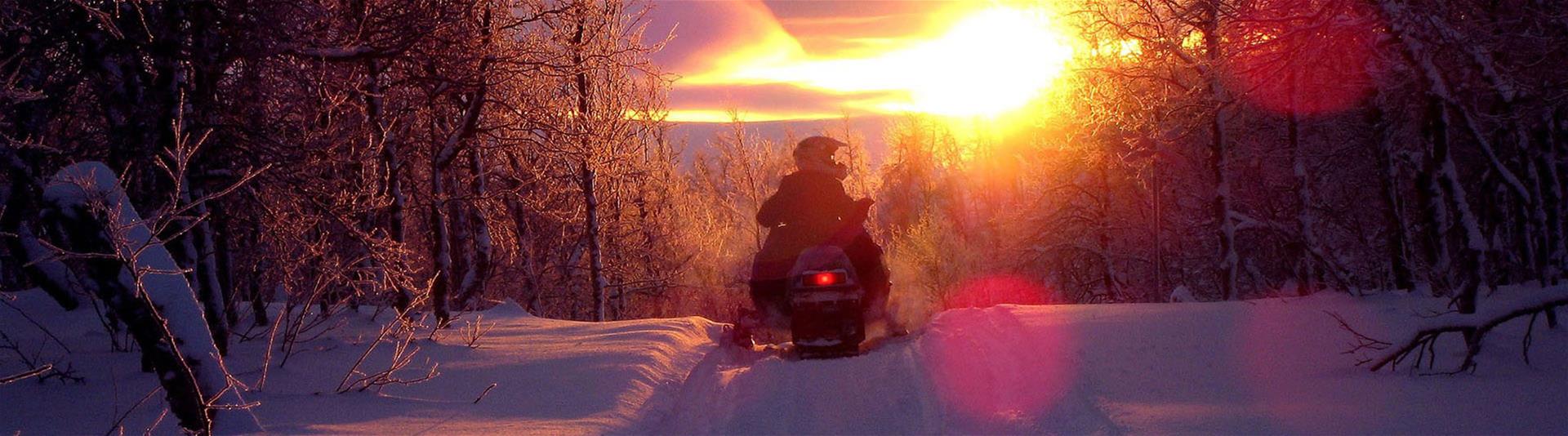 Person riding snowmobile through a forest at sunset