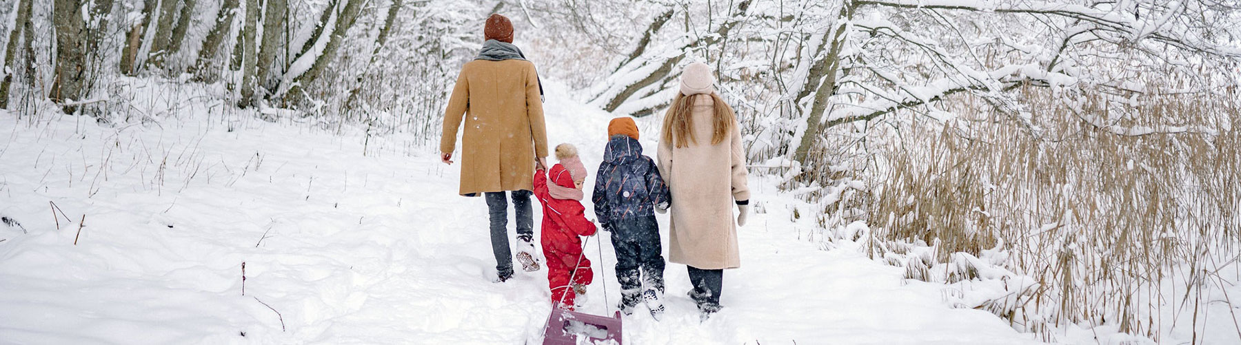 Family walking through a snowy forest with a sled