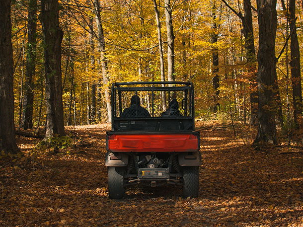 people in red and black UTV surrounded by trees in Fall people in red and black UTV surrounded by trees in Fall