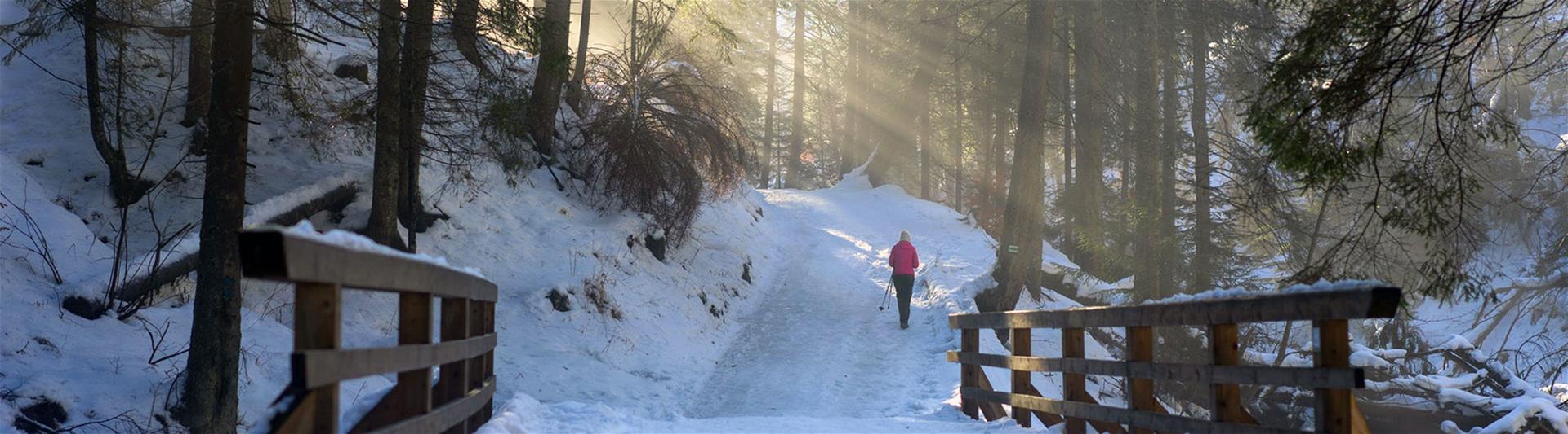 Person in pink Jacket hiking through Snow Covered forest with rising sun